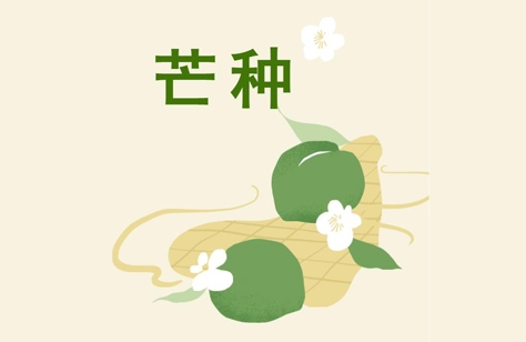 創(chuàng)洲木門丨芒種，是豐收也象征著新生